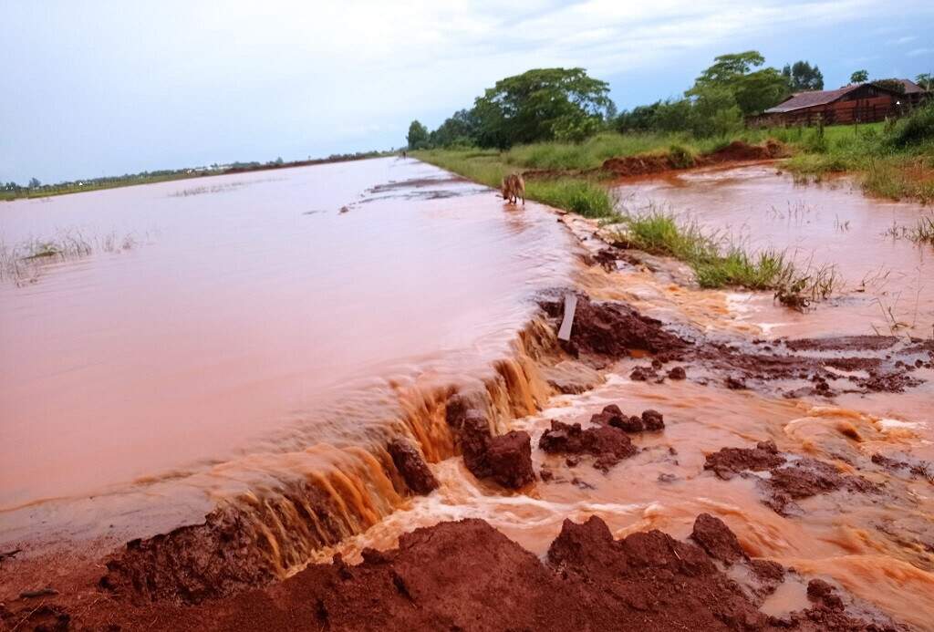 Índio cara pálida, verde oliva, esquerda/direita, esquiva, o cara, Lulinha e visita