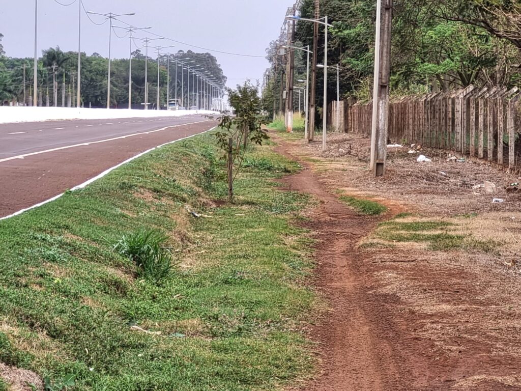 Lia Nogueira solicita manutenção urgente na ciclovia da Avenida Guaicurus em Dourados