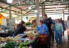 Alan Guedes e senadora Tereza Cristina visitam a Feira Livre de Dourados neste domingo