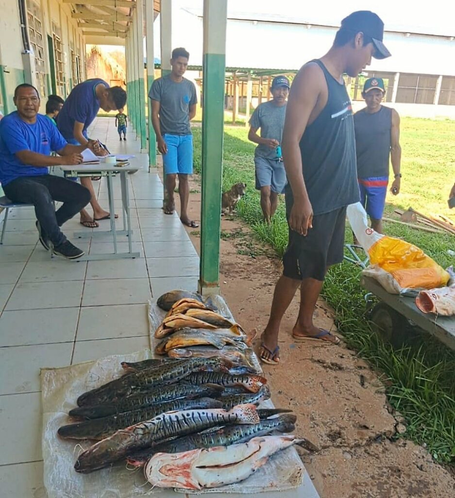 Pantanal: pescadores da Ilha Ínsua entregam pescados para famílias indígenas Guató