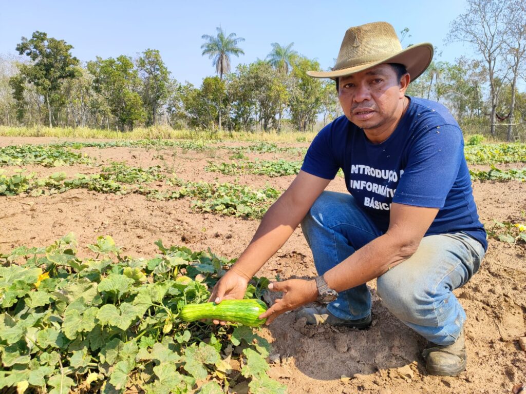 Residência em extensão rural do MS: Fundect divulga lista final de projetos selecionados