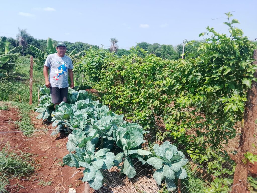 Residência em extensão rural do MS: Fundect divulga lista final de projetos selecionados