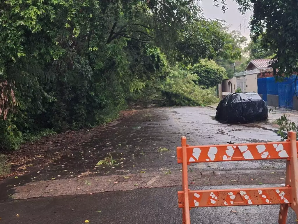 Tempestade provoca destruição em Bonito e Prefeitura fecha o Balneário Municipal