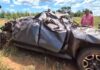 Passageiro morre após capotamento de Toyota Hilux na BR-060, em MS; assista