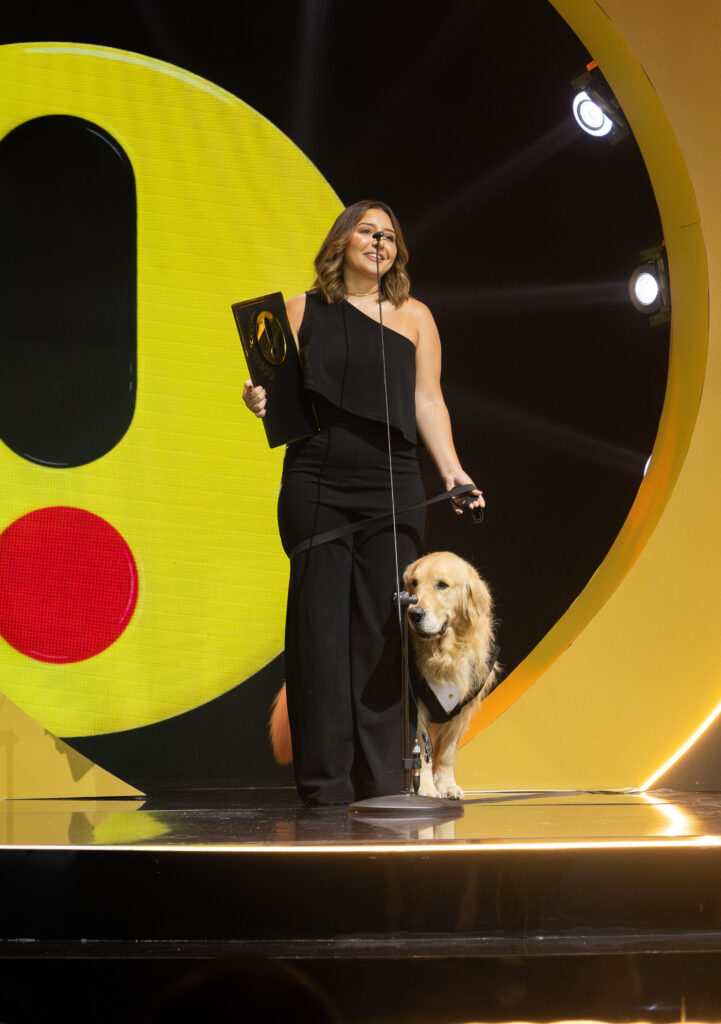 Alfredo, o golden de Dourados, vence o Prêmio Ibest, o 'Oscar da internet brasileira'