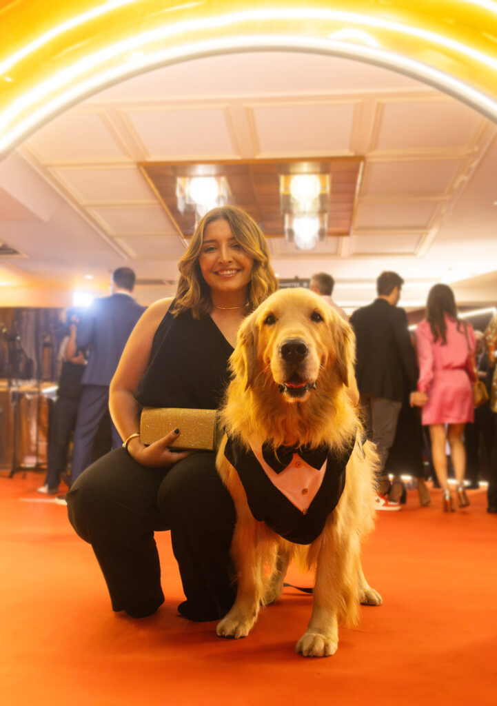 Alfredo, o golden de Dourados, vence o Prêmio Ibest, o 'Oscar da internet brasileira'