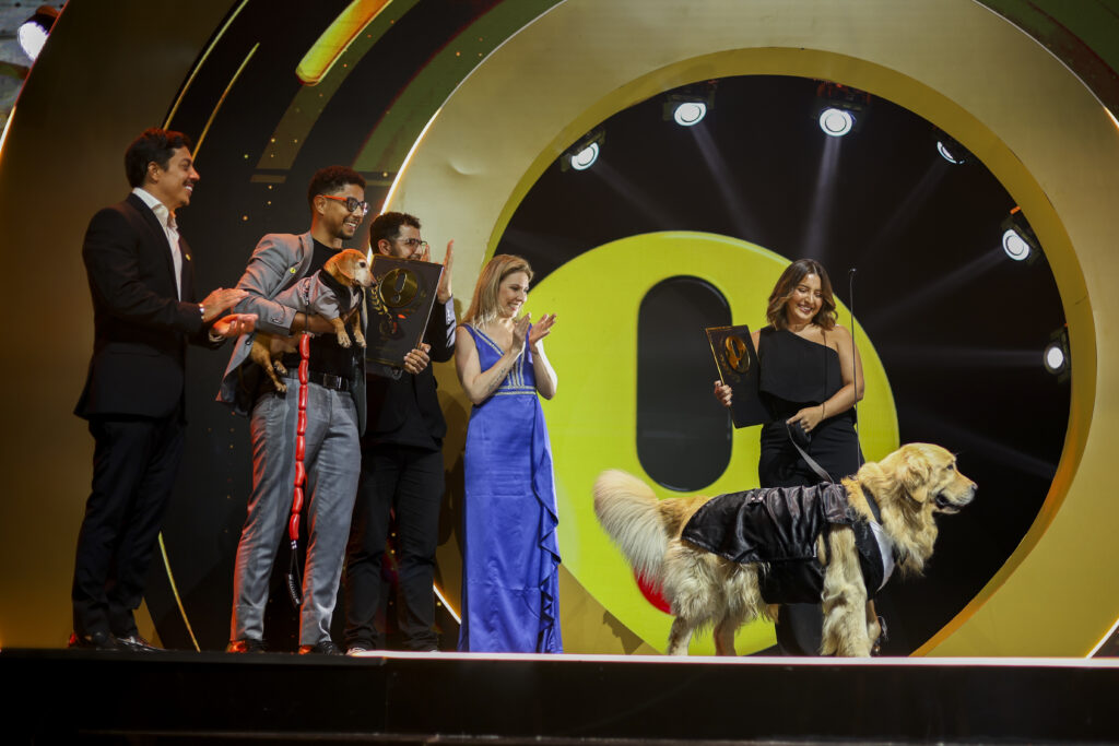 Alfredo, o golden de Dourados, vence o Prêmio Ibest, o 'Oscar da internet brasileira'