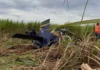 Avião agrícola cai em propriedade rural e piloto morre em Mato Grosso do Sul